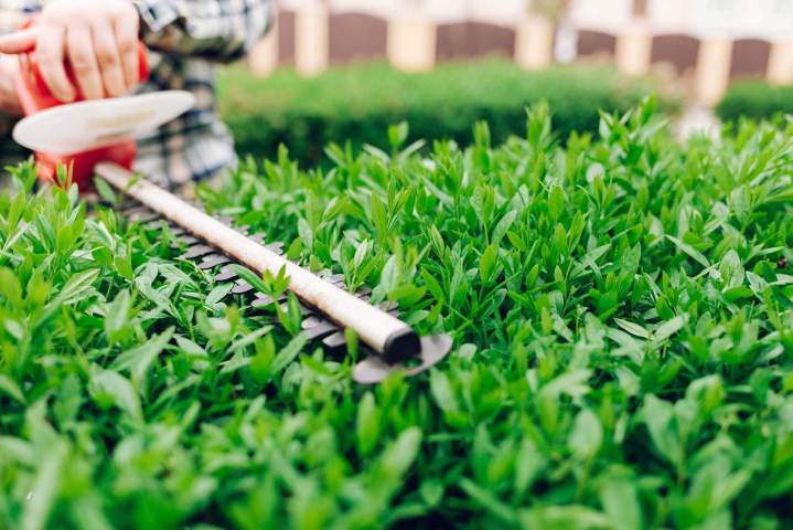 Soins de jardin Les Martres-de-Veyre